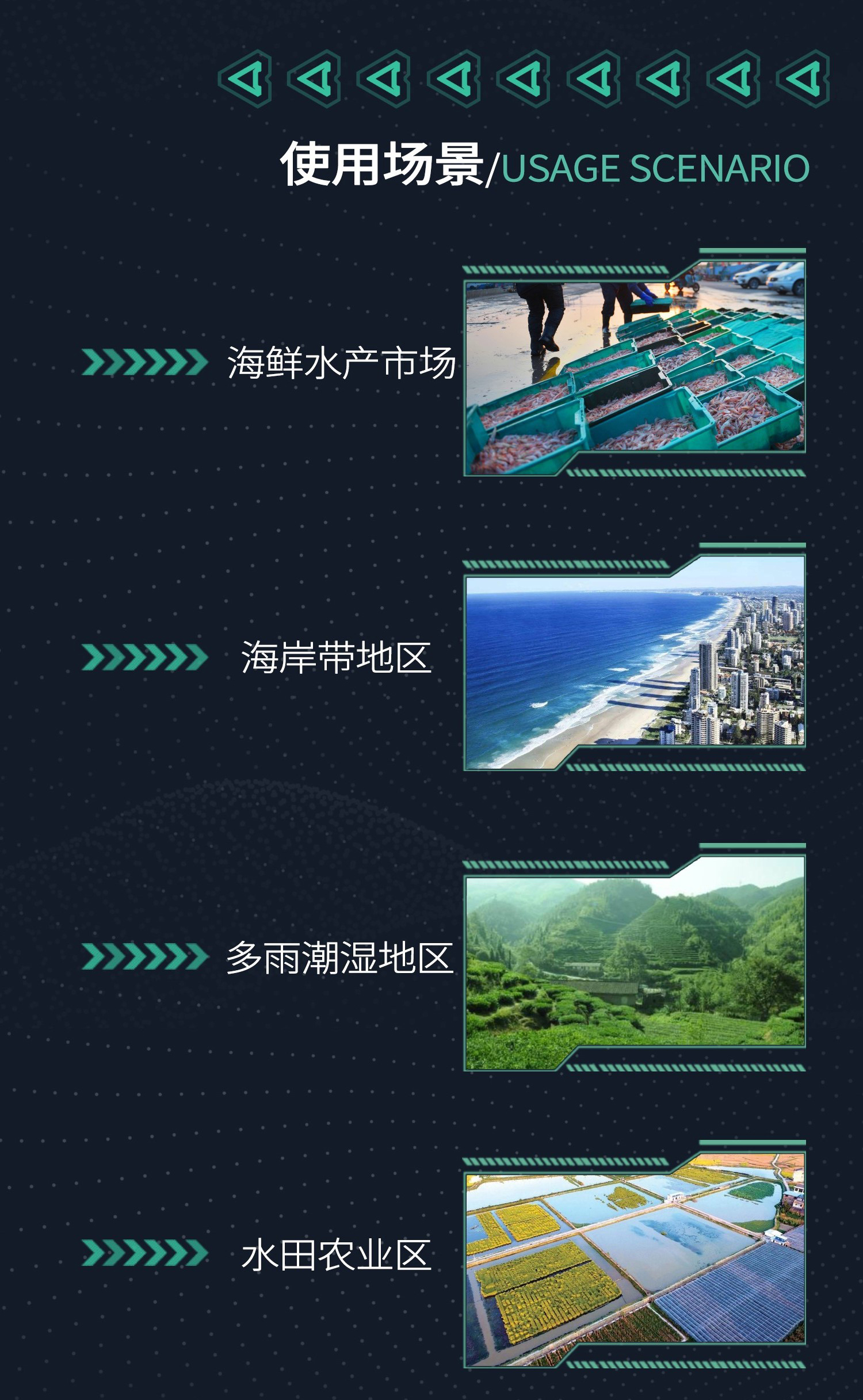 金峰_05.jpg