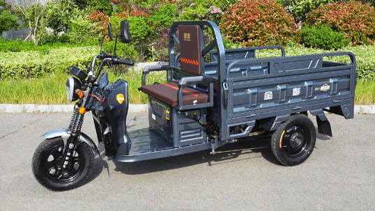 Amazon.com: 電動三輪車貨車,電動三輪車,送貨上門車輛,農業三輪車,老年車輛,倉庫貨車,1000W 差速馬達,500 公斤裝載料斗:  運動和戶外活動